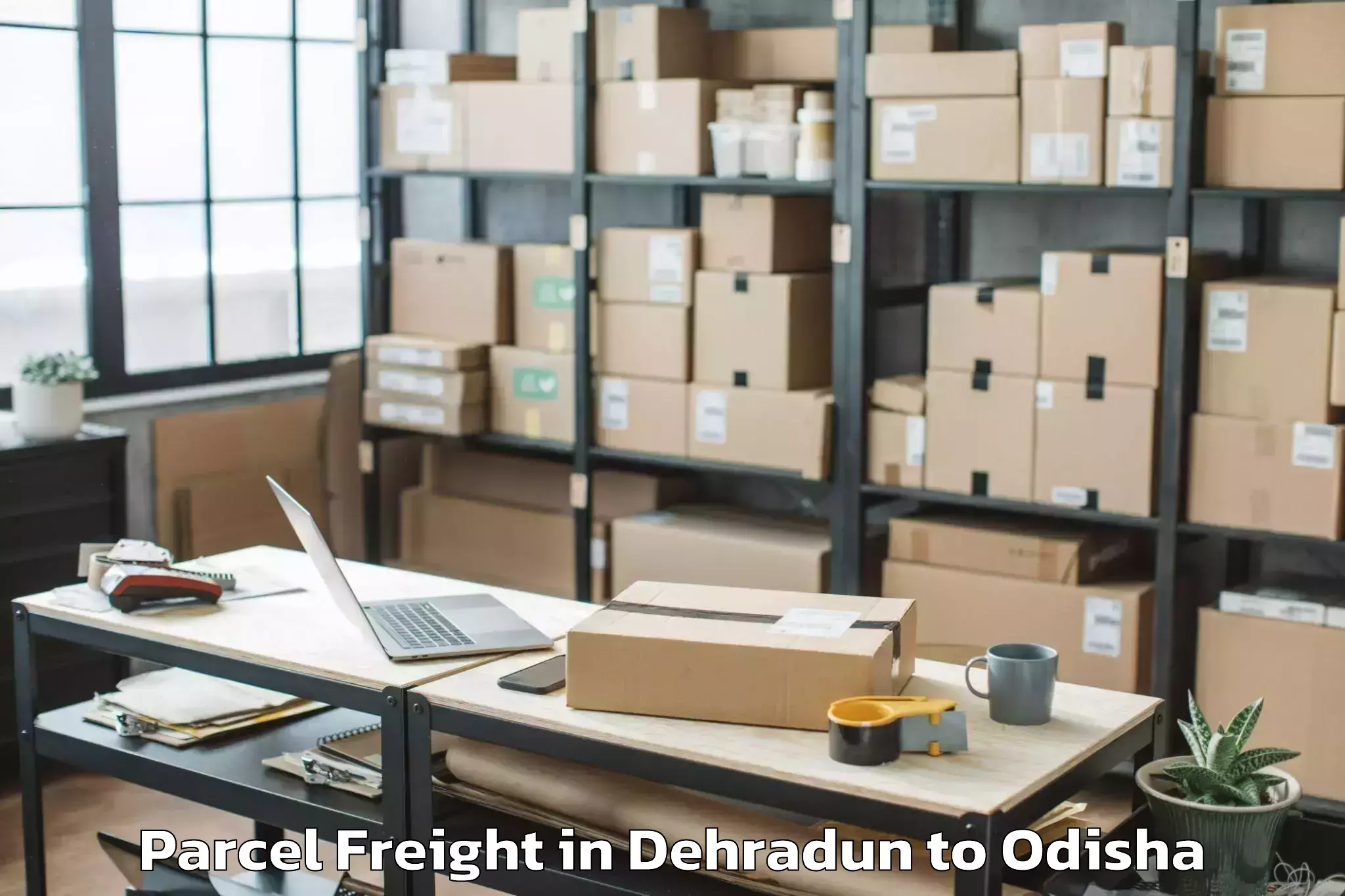 Expert Dehradun to Khallikot Parcel Freight